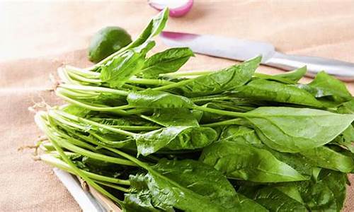 lol菠菜在哪买(lol菠菜怎么买) (