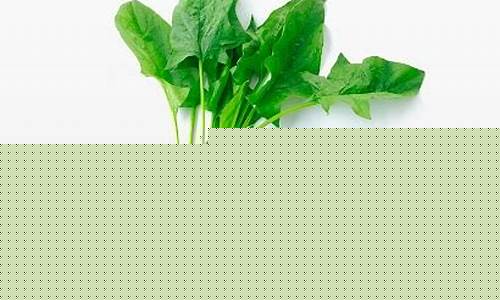 菠菜网投权威担保论坛：菠菜公司网址(菠菜公司下载) (8)