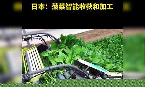 世界菠菜公司大全：菠菜信息技术(菠菜技术交流论坛) (5)