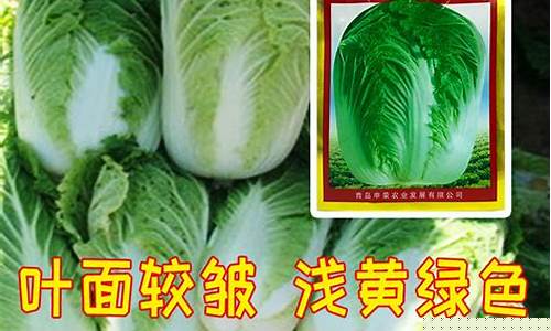 菠菜地址大全：免费cp白菜官方排名网站(白菜网站免费礼金) (16)